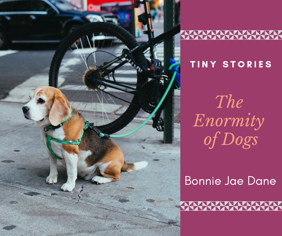 The Enormity of Dogs