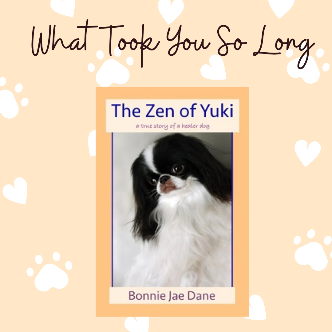 The Zen of Yuki