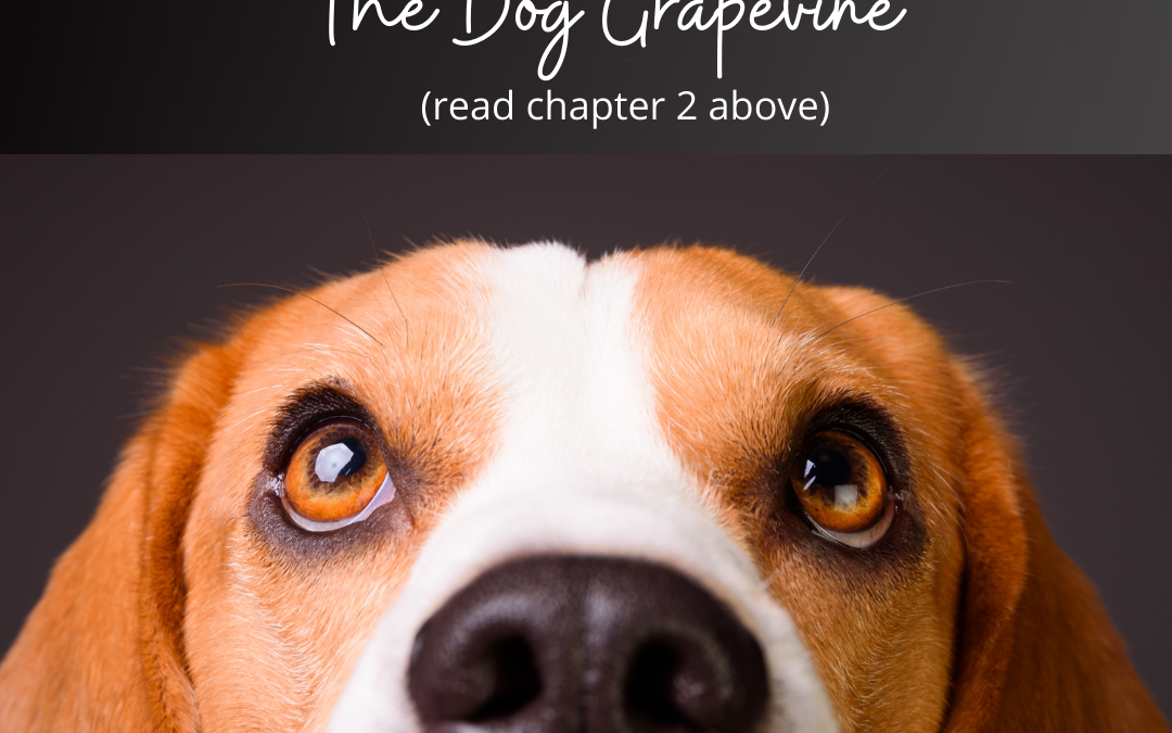 The Dog Grapevine: Chapter 2