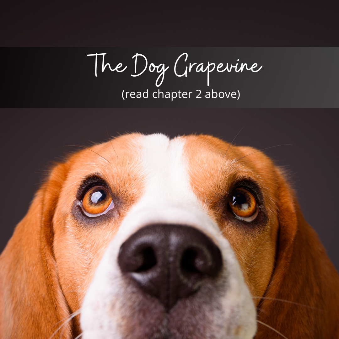 The Dog Grapevine: Chapter 2