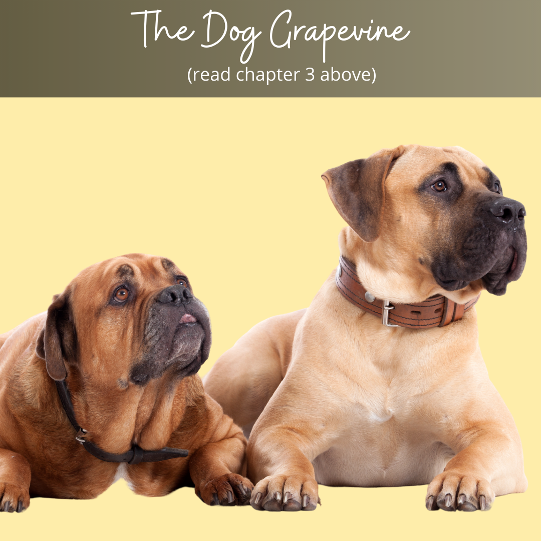 The Dog Grapevine: Chapter 3