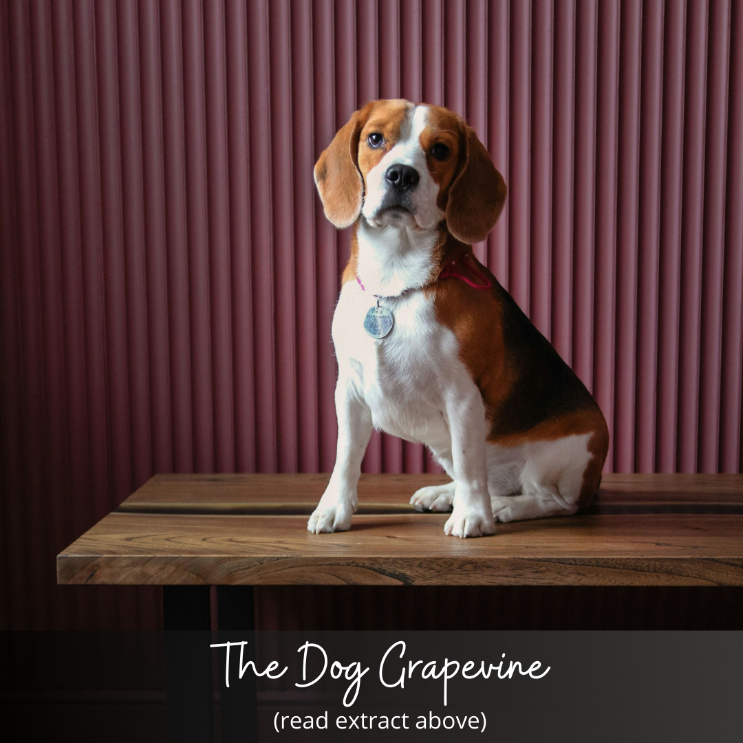 The Dog Grapevine – An Extract