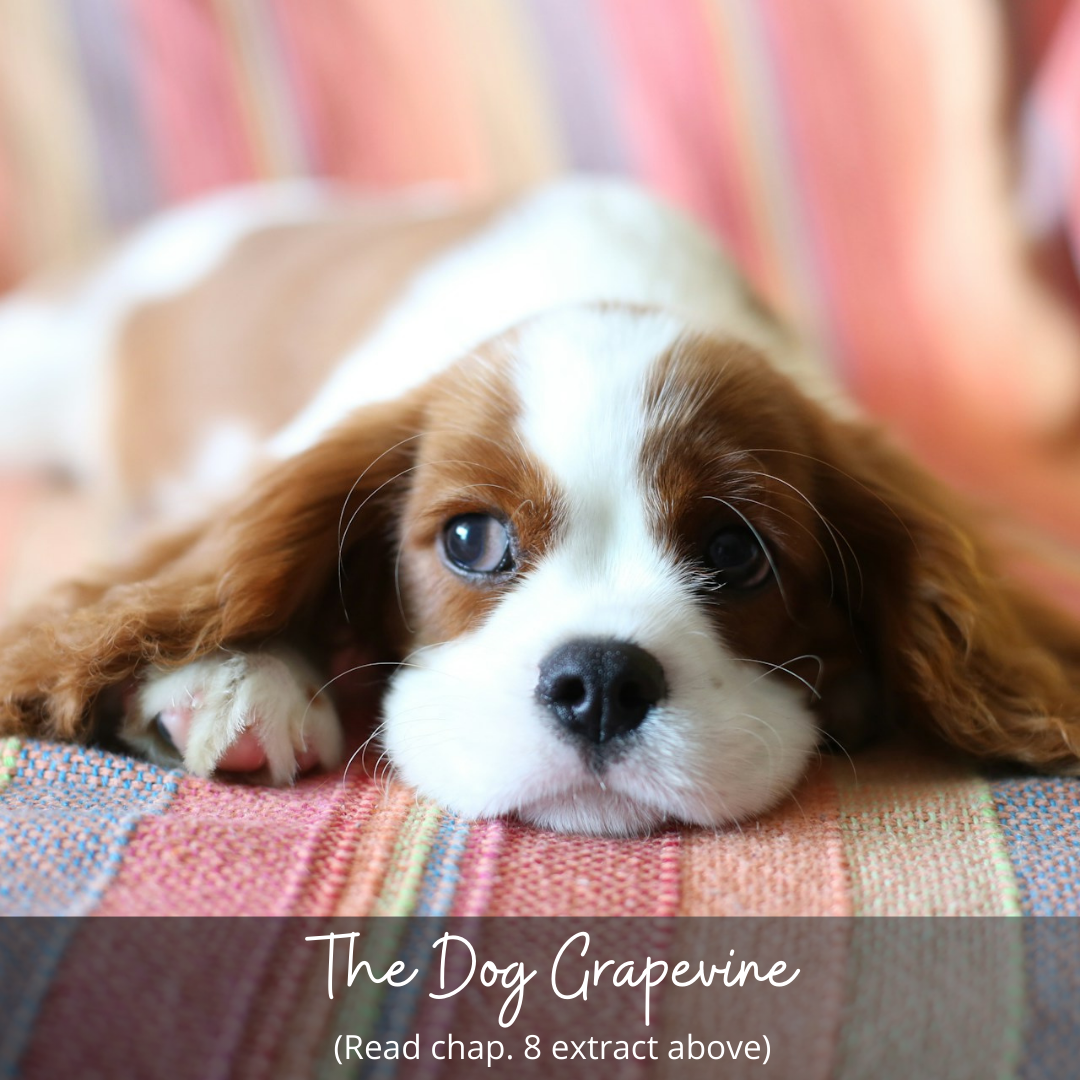 The Dog Grapevine – Chapter 8 Extract