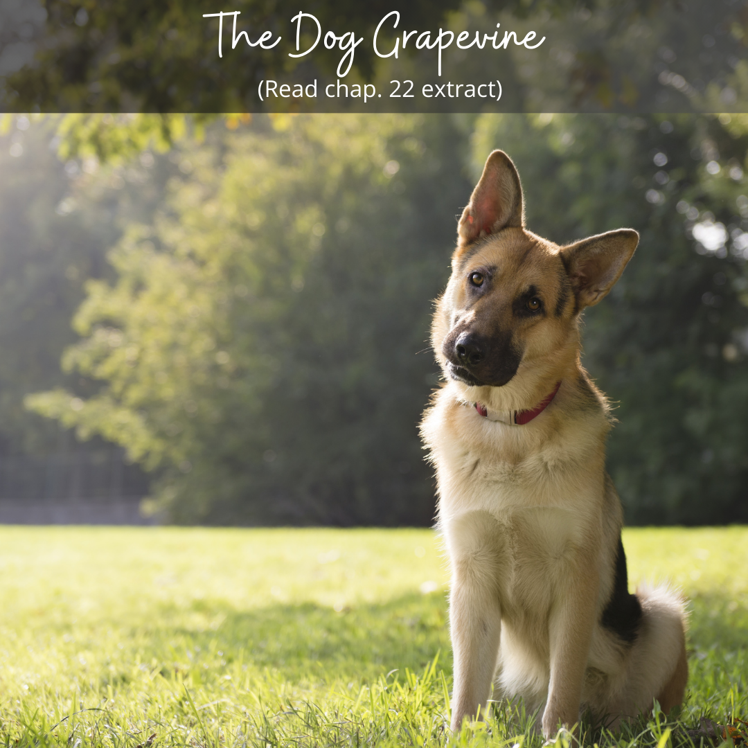 The Dog Grapevine – Chapter 22 Extract