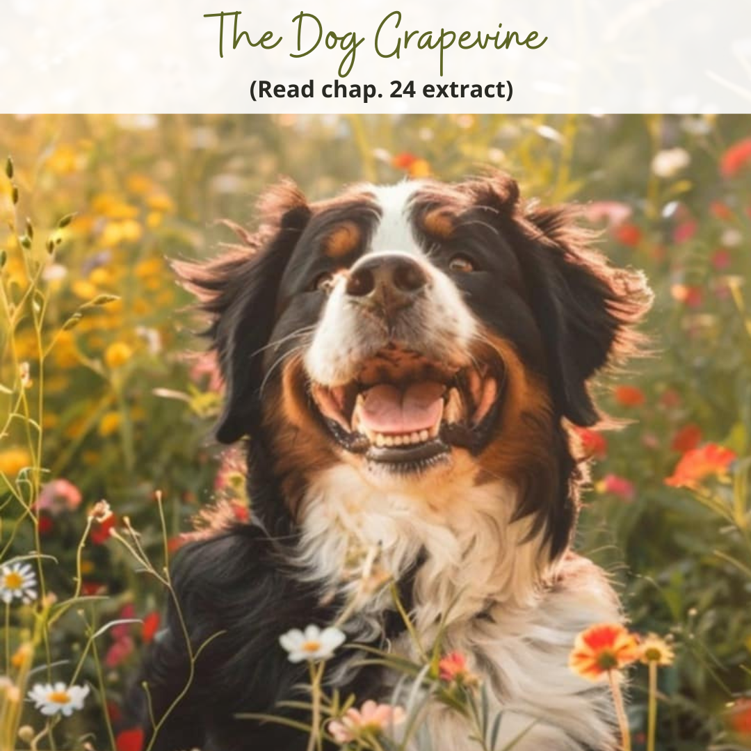 The Dog Grapevine – Chapter 24 Extract