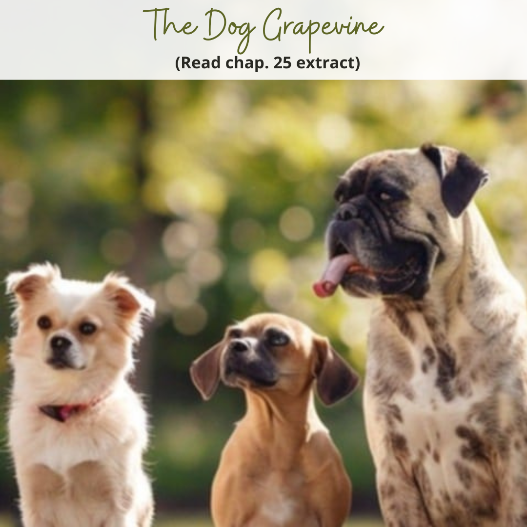 The Dog Grapevine – Chapter 25 Extract